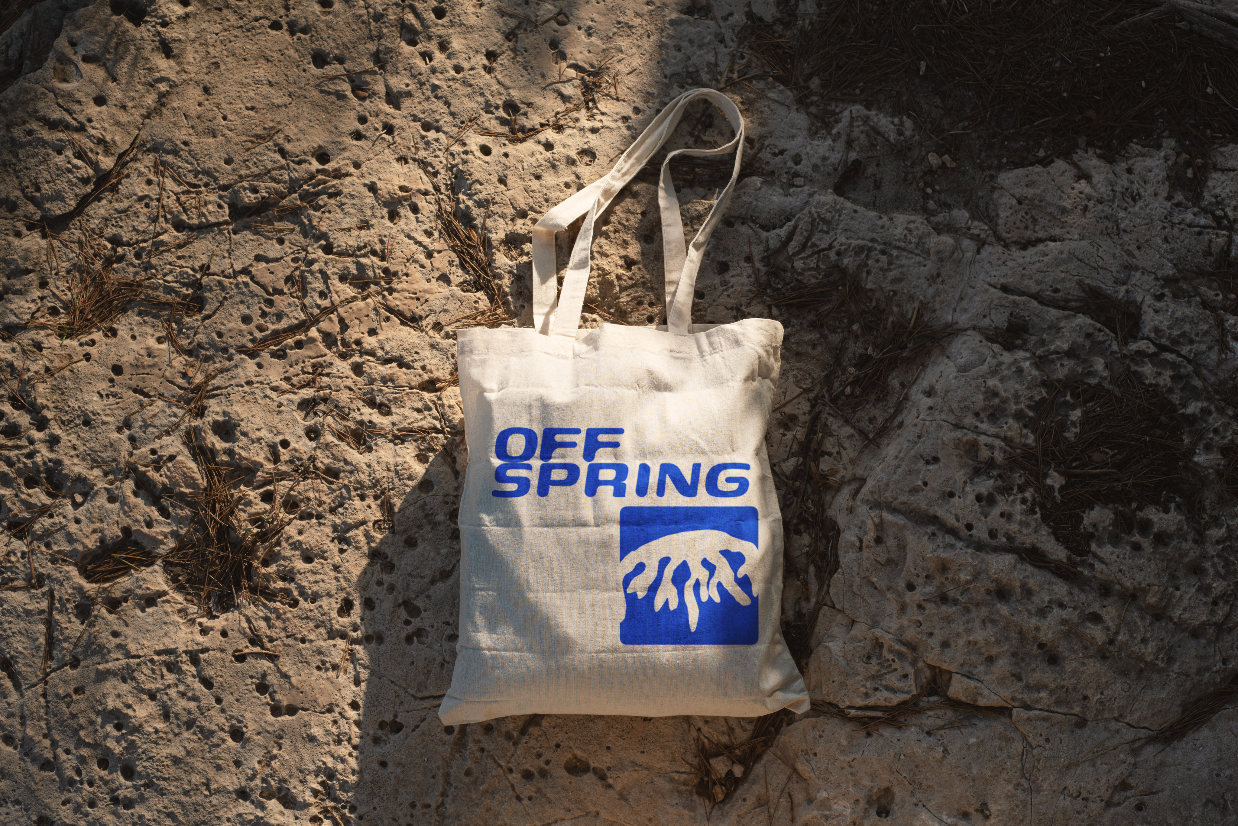 a selection of images